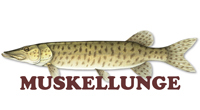 muskie.jpg