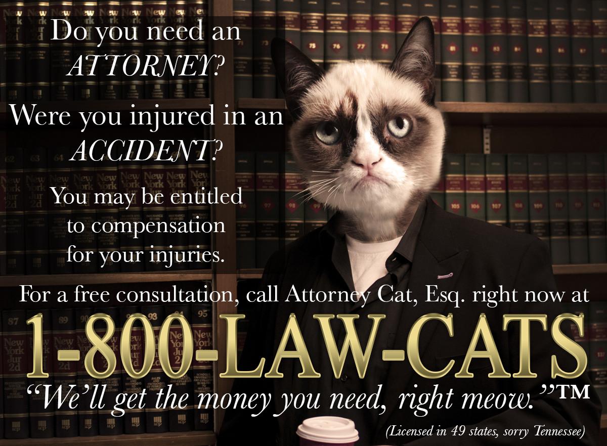 need-an-attorney-call-1-800-law-cats.jpg