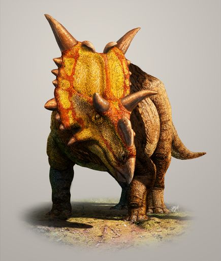 new-dinosaur-xenoceratops_61032_600x450.jpg