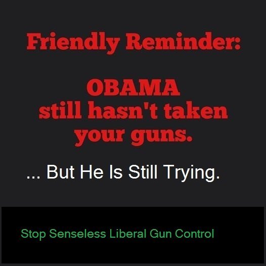 obama guns 3.jpg