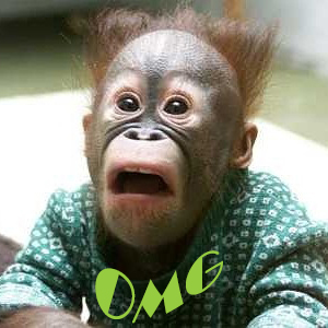 OMG monkey Face OMG.jpg