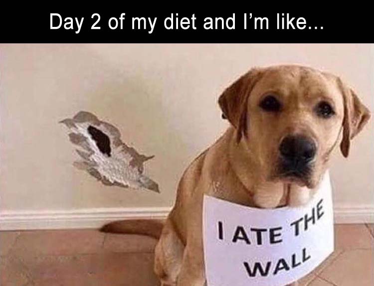 on-my-diet.jpg