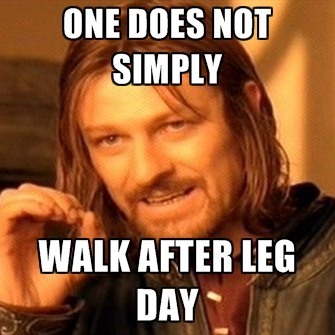 one-does-not-simply-walk-after-leg-day.jpg