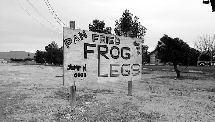 pan fried frog legs_0.jpg