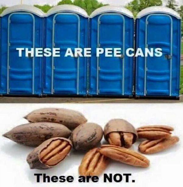 pecans.jpg