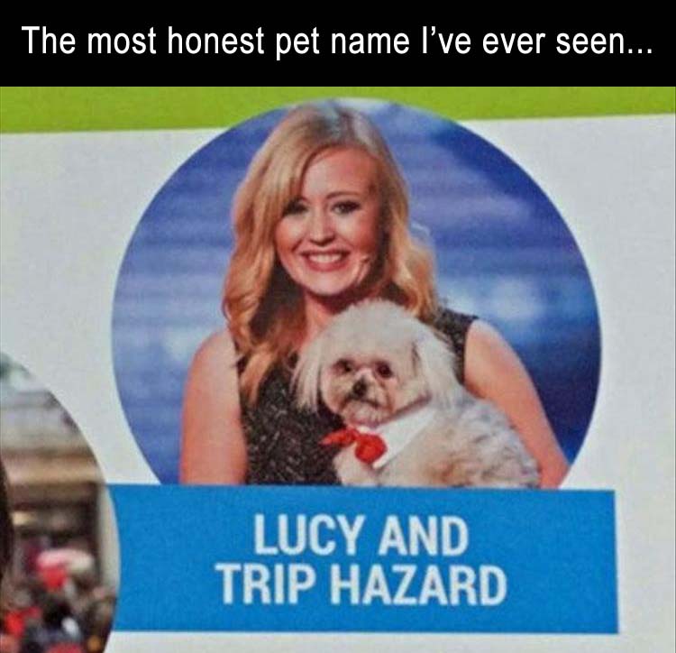 pet-name-ever.jpg