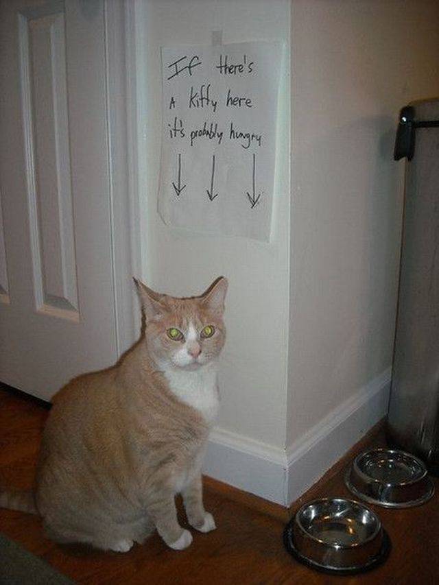 picdump_2583_55.jpg