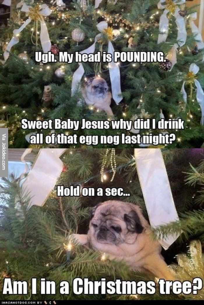 pug-christmas-tree.jpg