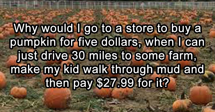 pumpkin-patch.jpg