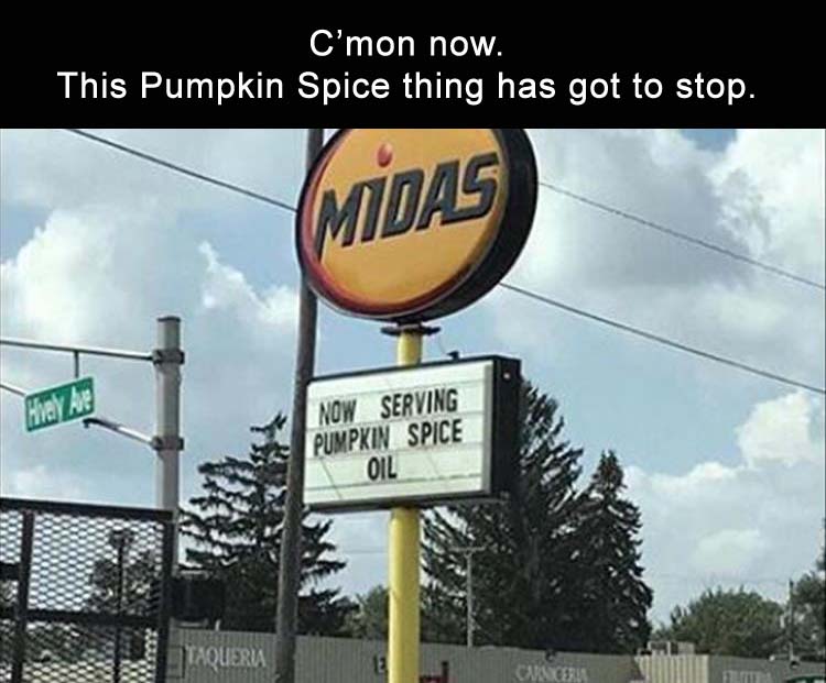 pumpkin-spice.jpg