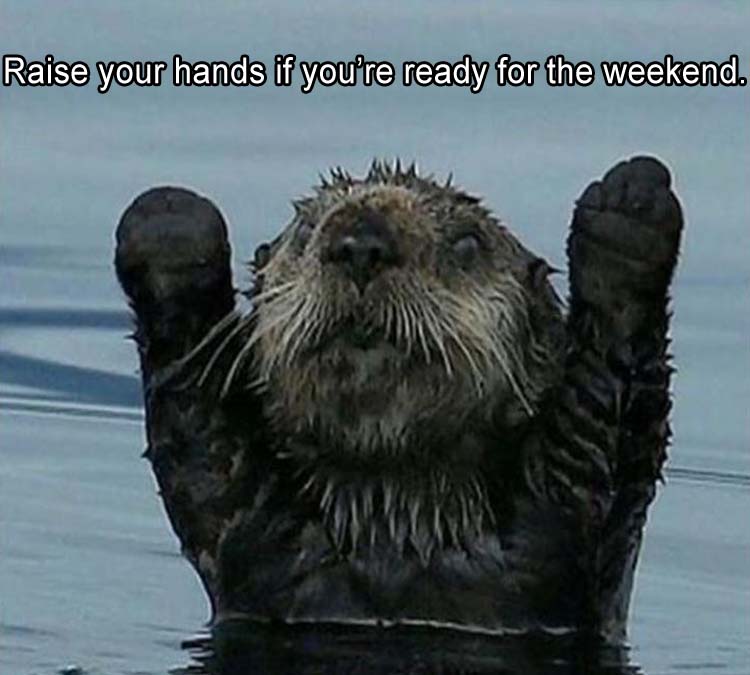put-your-hands-up.jpg