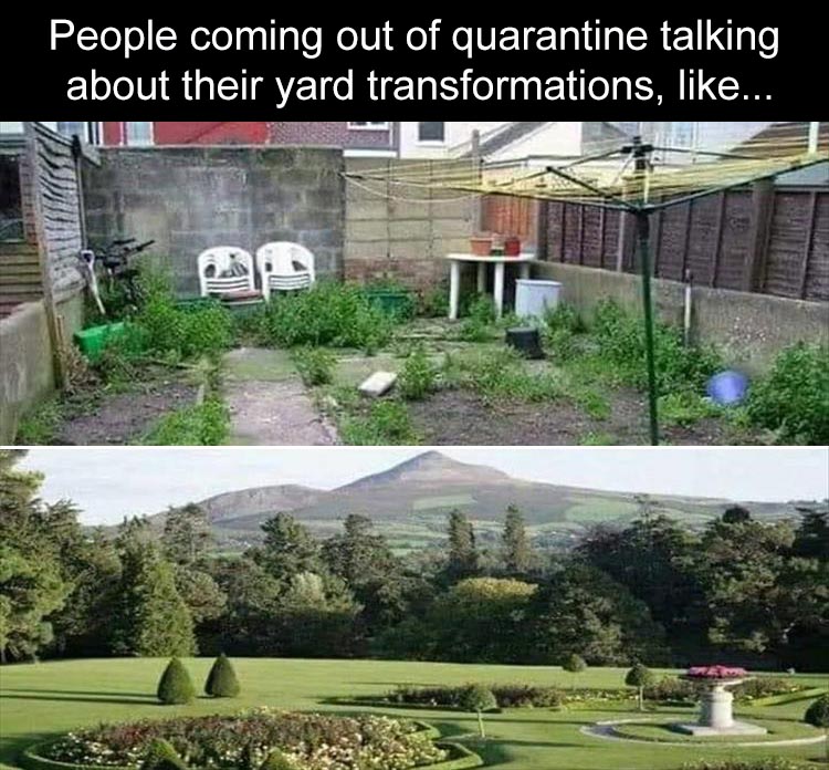 quarantine.jpg