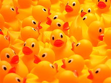 Rubber_duckies_So_many_ducks.jpg