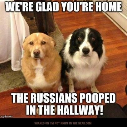 Russian poop.jpg