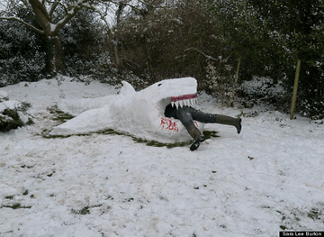 s-snow-shark-large640_360.png