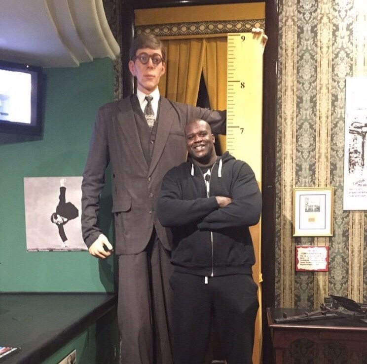 Shaq standing next to a wax mold of Robert Wadlow (Shaq 7’2) (Robert Wadlow 8’11).jpg