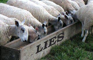 Sheep eating lies.jpg