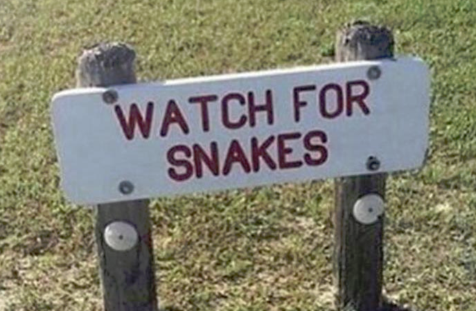 snakes.png