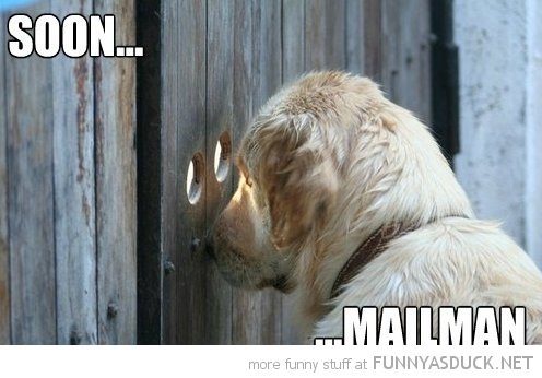 soon-mailman-pics.jpg