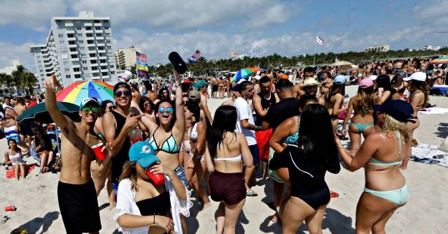 Spring-Breakers-640x335.jpg