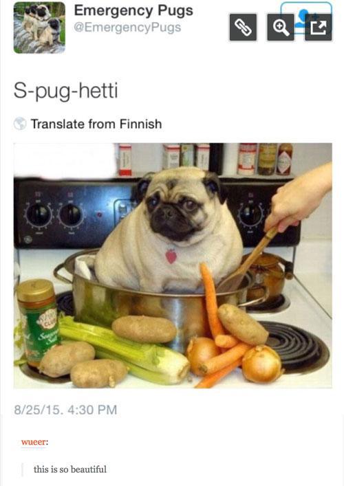 Spughetti.jpg