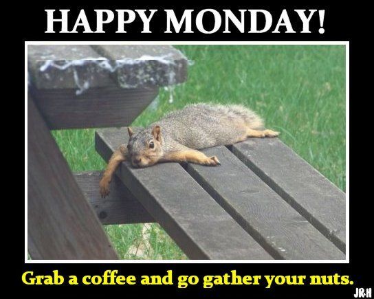 squirrel_happy_monday.jpg