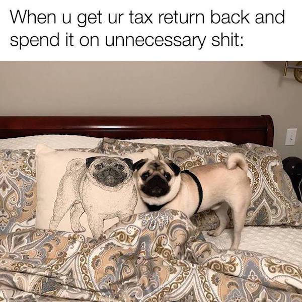 tax_time_20.jpg