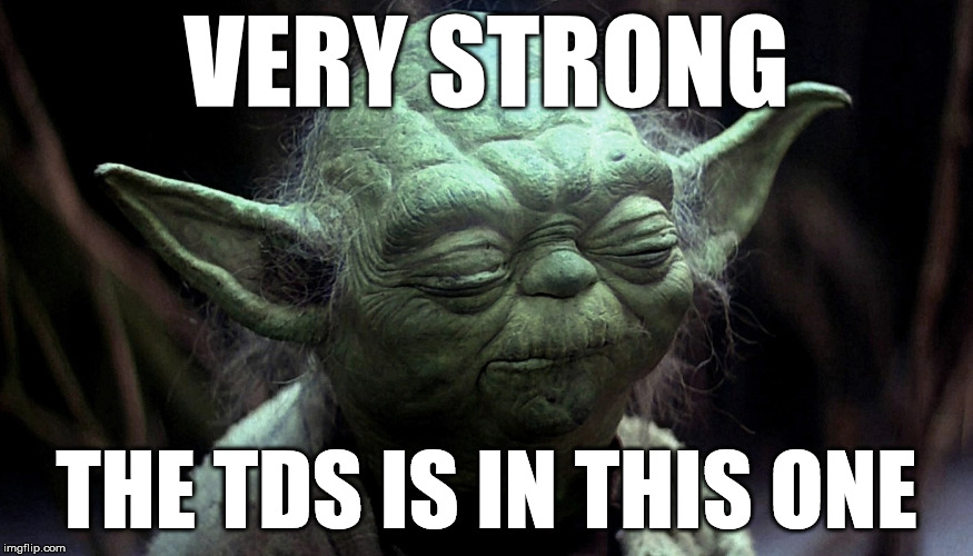 TDS YODA.jpg