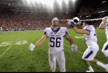 tenor (5).gif