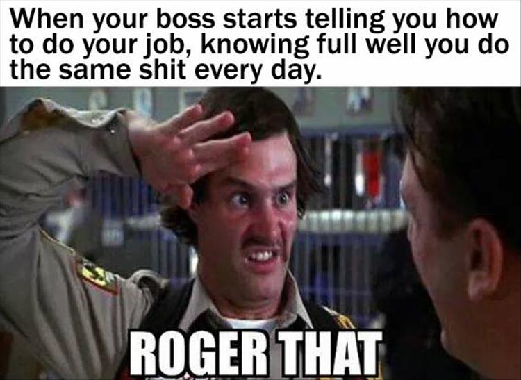 thanks-boss.jpg