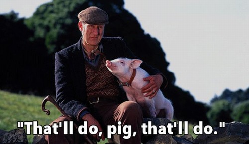 that do pig.jpg
