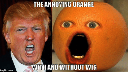 the-annoying-orange-with-and-without-wig-imgflip-com-image-tagged-49184572.png