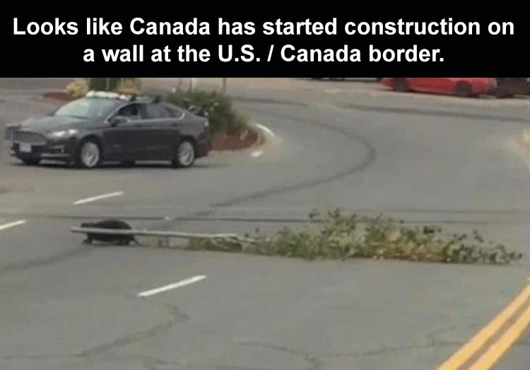 they-build-a-wall-1.jpg