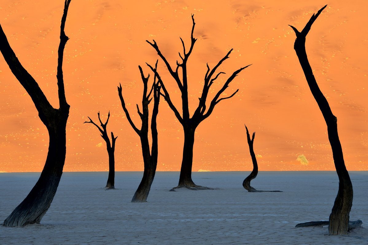 This is not a painting This is the Namib desert.jpg