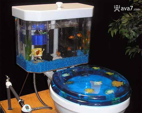 toilet-aquarium.jpg