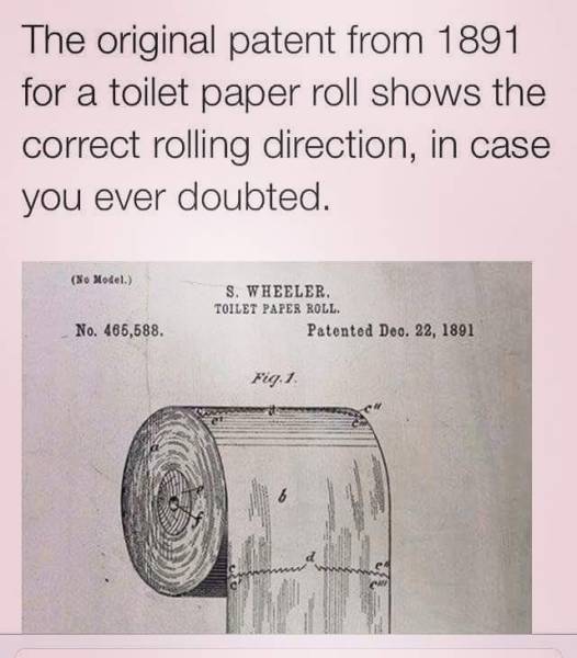 toilet roll.jpg