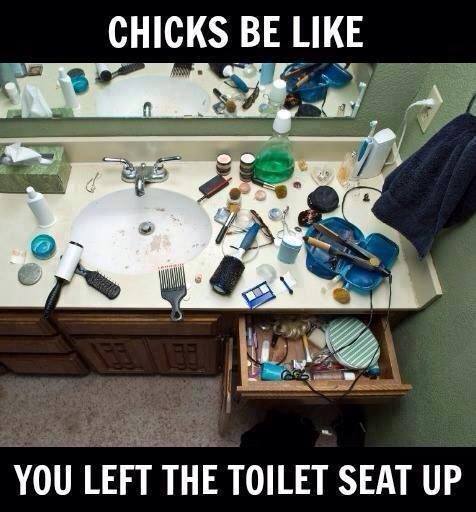 toiletchicks.jpg