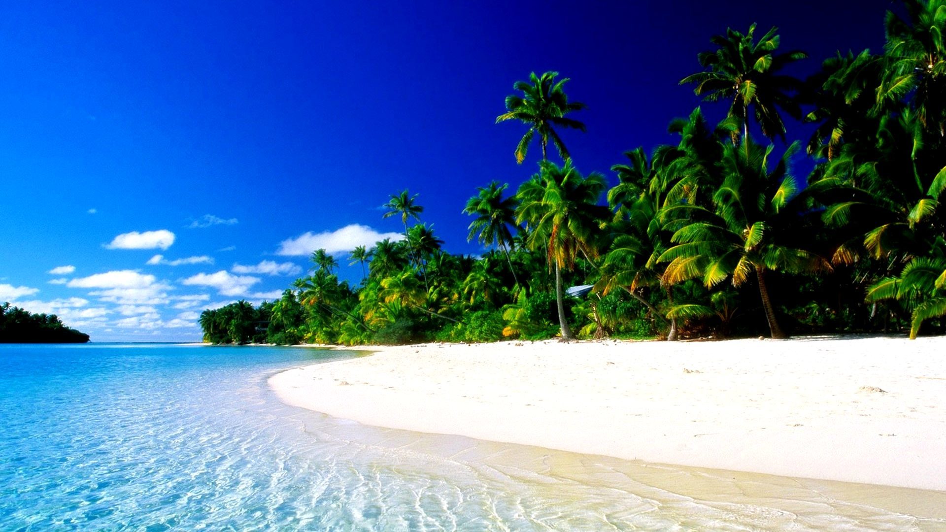 tropical-paradise-223940.jpg