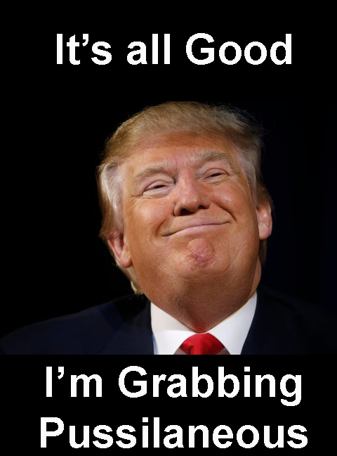 Trump Its all good - Im grabbing Pussilaneous.jpg