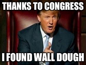 Trump wall dough.jpg