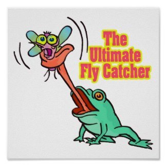 ultimate_fly_catcher.jpg