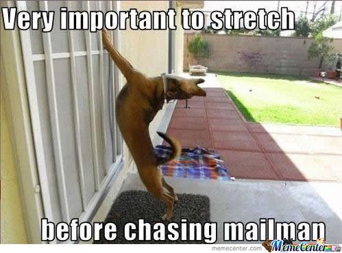 Very-Important-to-stretch-before-chasing-mailman_o_115315.jpg