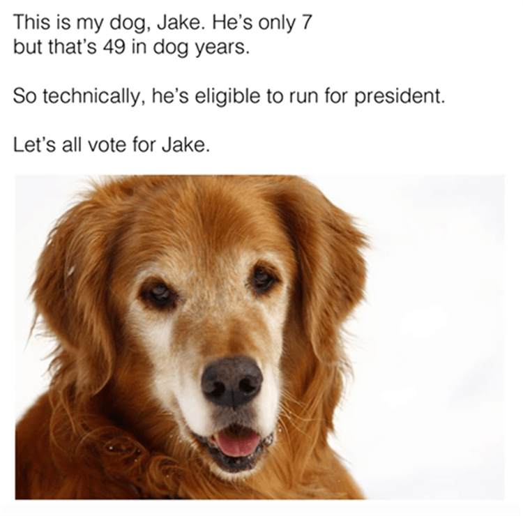 vote-for-president.png