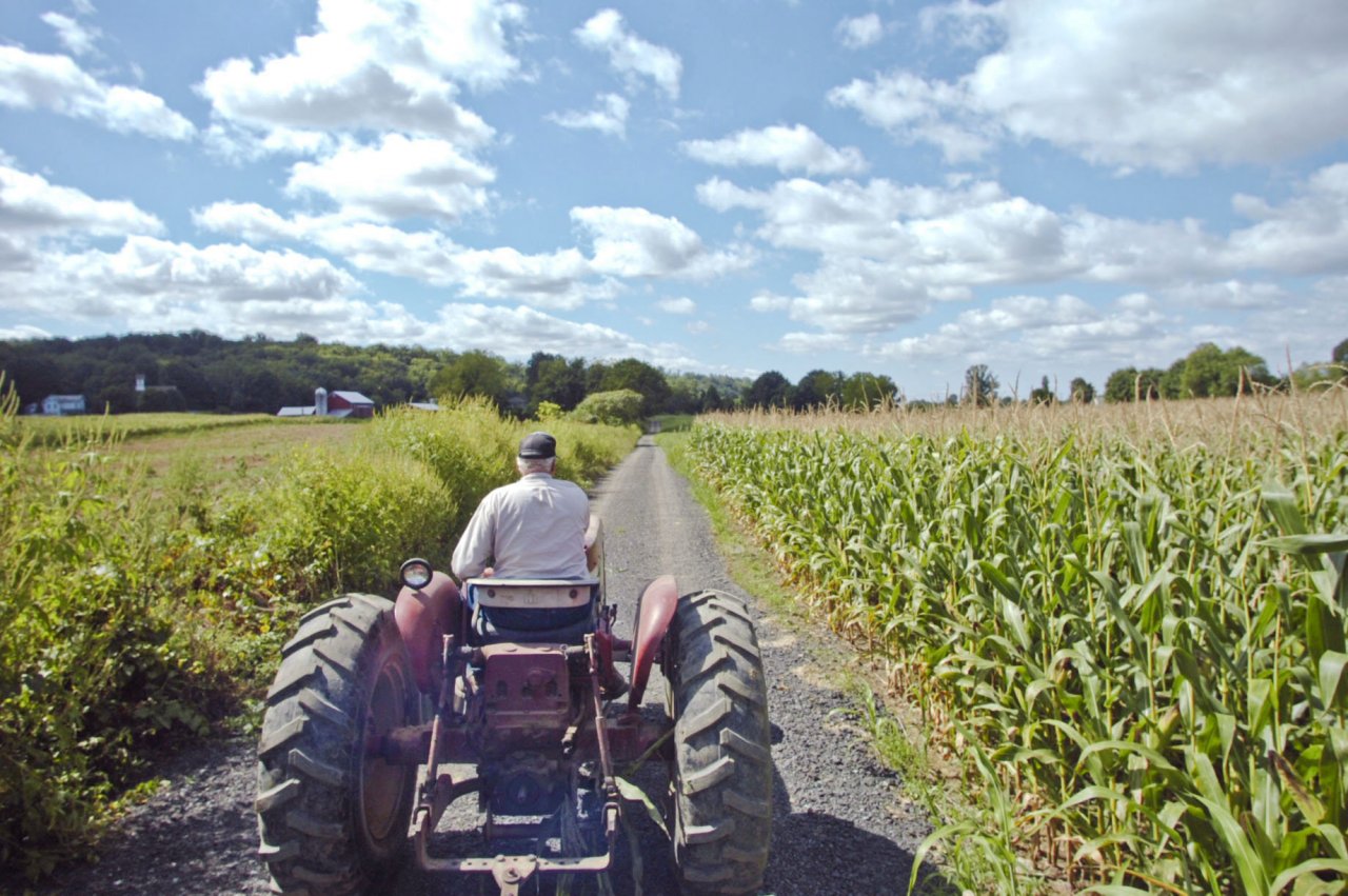 warren-county-farm-471b3ee8908546db.jpg