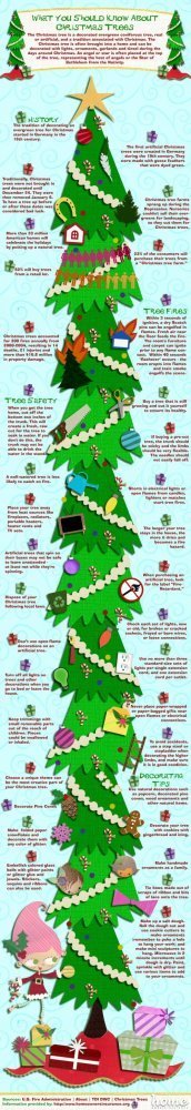 WhatToKnowChristmasTree_page-500x2899.jpg