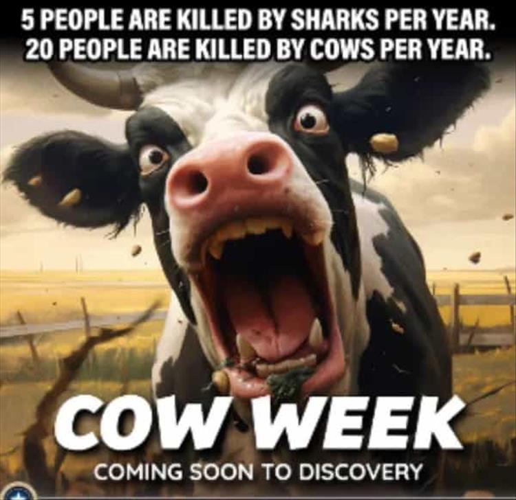 when-cow-week.jpg