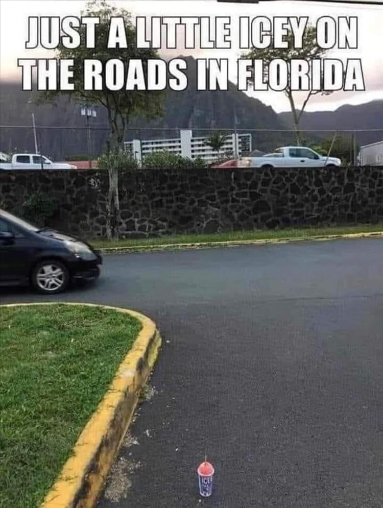 when-Florida.jpg