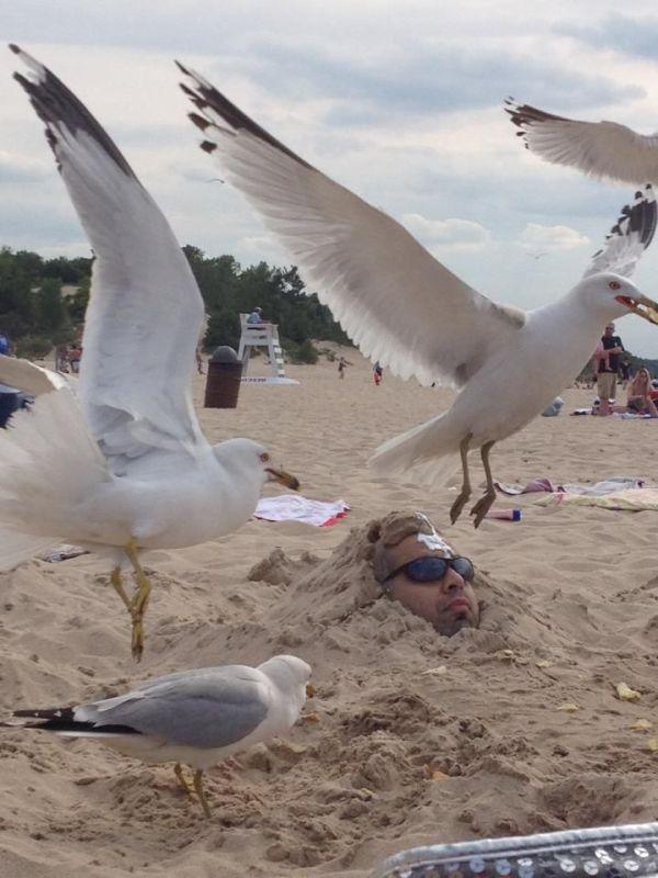 when-going-to-the-beach-goes-wrong-28-photos-5.jpg