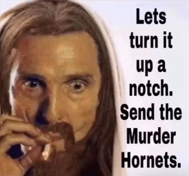 when-murder-hornets.jpg