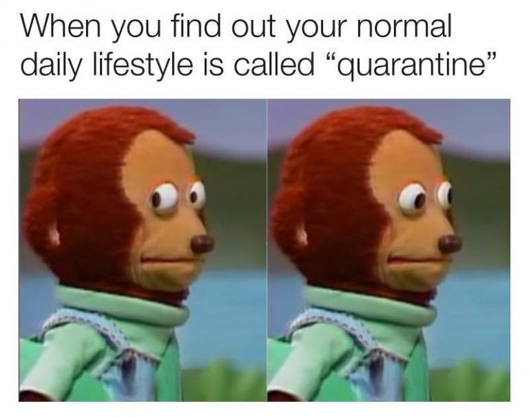 when-you-find-out-your-nomal-daily-lifestyle-is-called-quarantine-meme-768x605.jpg